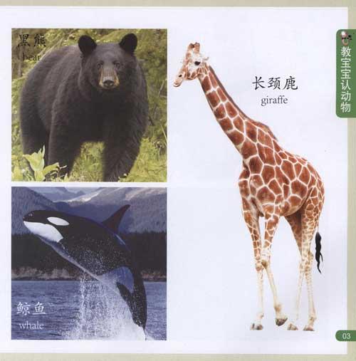 宝宝认识动物_第4页_画画大全