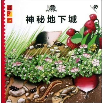 神秘的地下城 