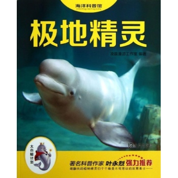 极地精灵 