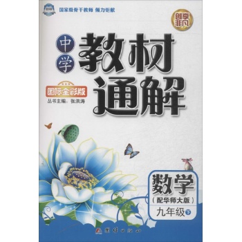 中学教材通解 九年级数学（下） 配华师大版