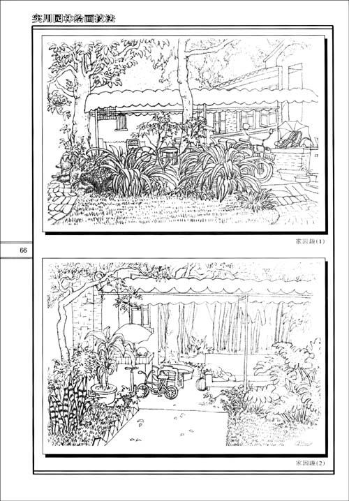 实用园林绘画技法(素描·线描