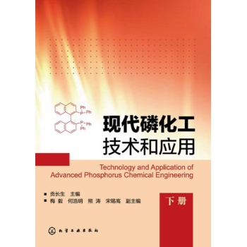 现代磷化工技术和应用 