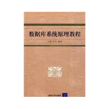 数据库系统原理教程 